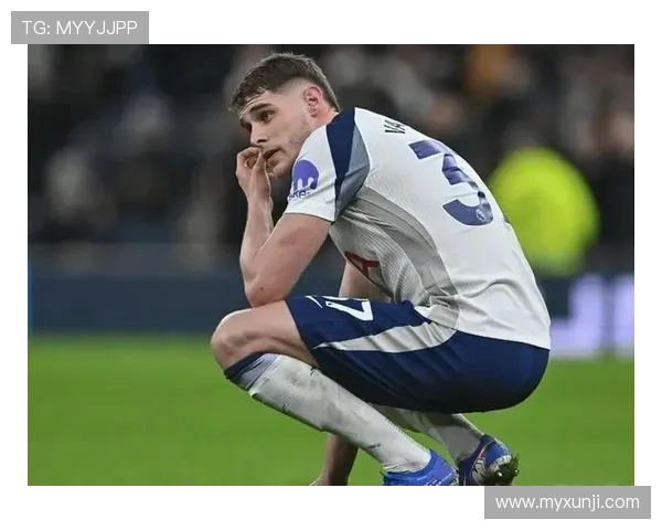 默森称热刺克城范德芬斗哈兰德